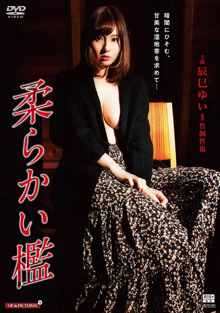 《软禁：深浅行动》影评：一场精心策划的阴谋，谁是猎物，谁又是猎人？